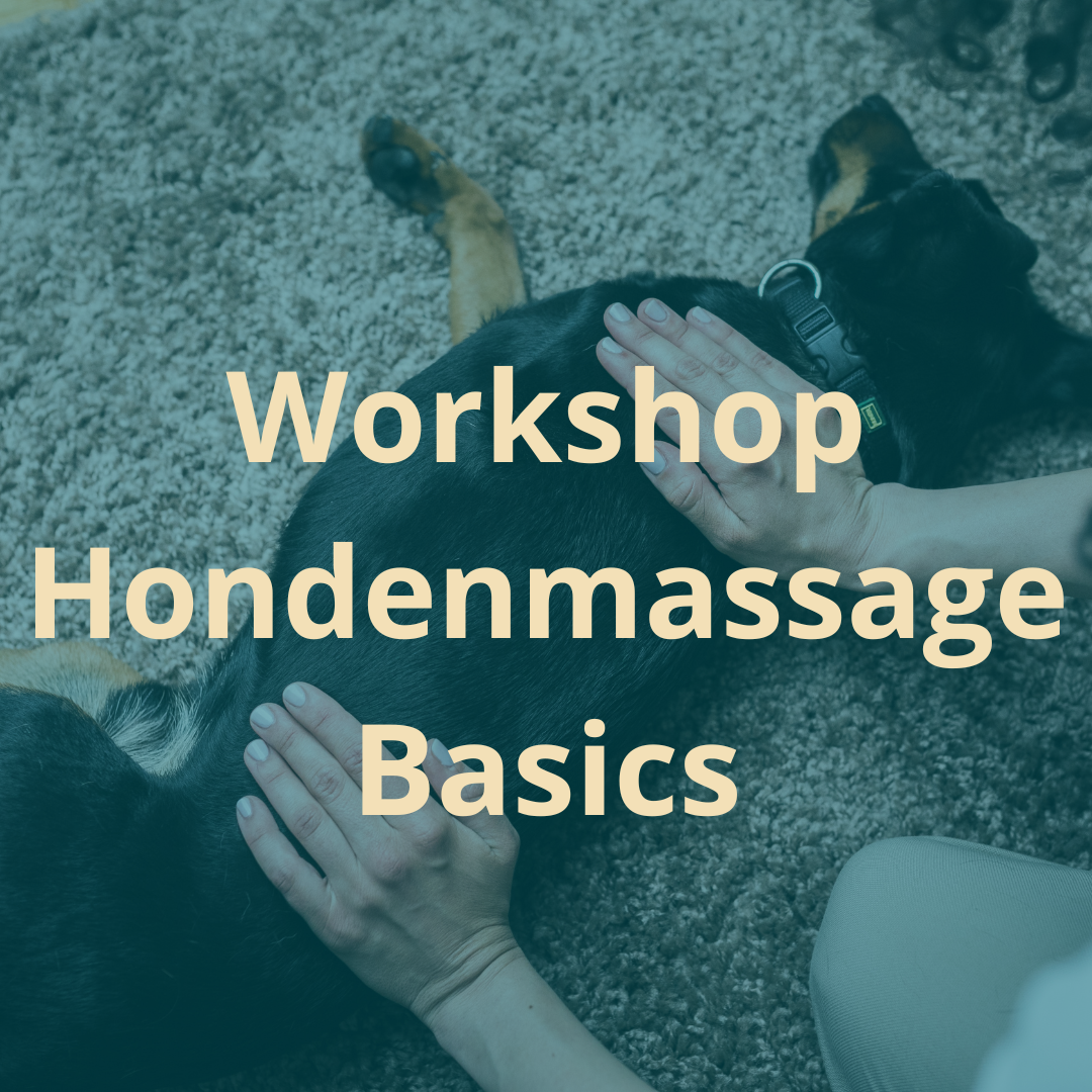 Hondenmassage Basics Cursus